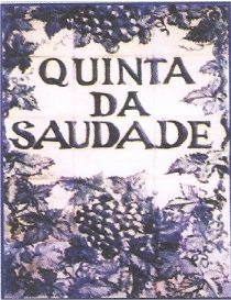 Centro Hipico Quinta da Saudade